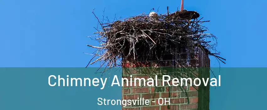 Chimney Animal Removal Strongsville - OH
