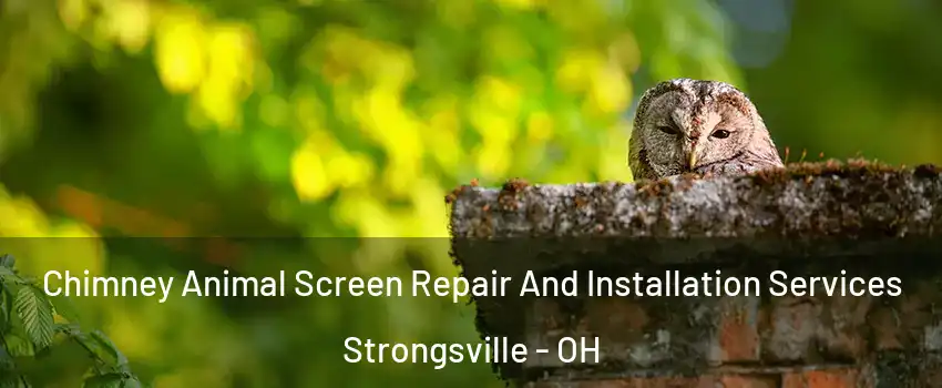  Chimney Animal Screen Repair And Installation Services Strongsville - OH