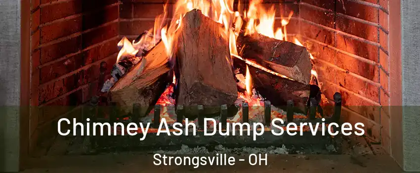  Chimney Ash Dump Services Strongsville - OH
