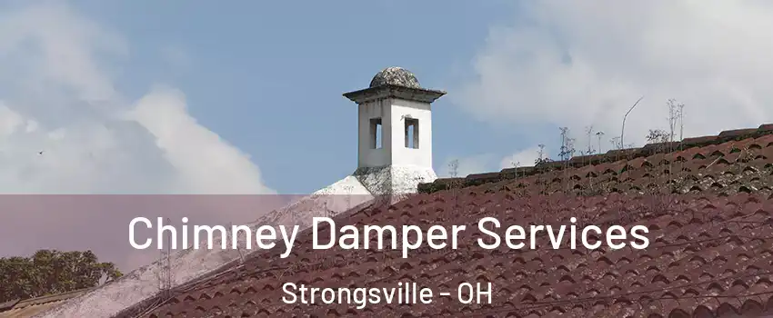  Chimney Damper Services Strongsville - OH