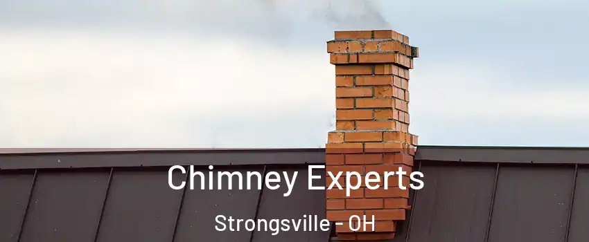 Chimney Experts Strongsville - OH