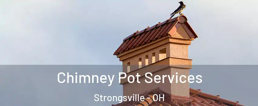  Chimney Pot Services Strongsville - OH