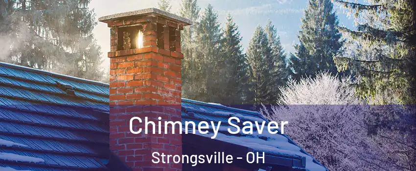  Chimney Saver Strongsville - OH