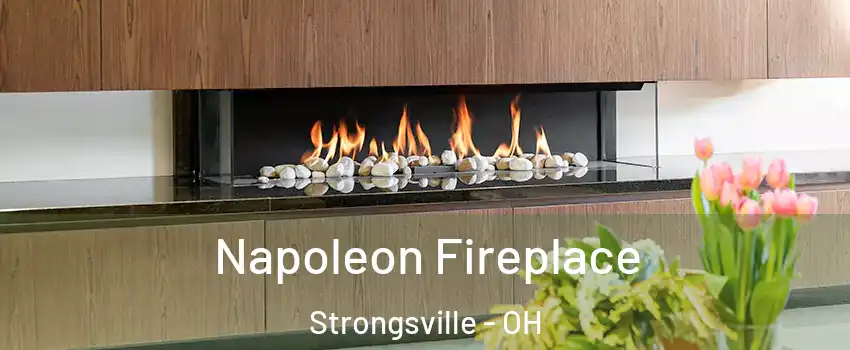  Napoleon Fireplace Strongsville - OH